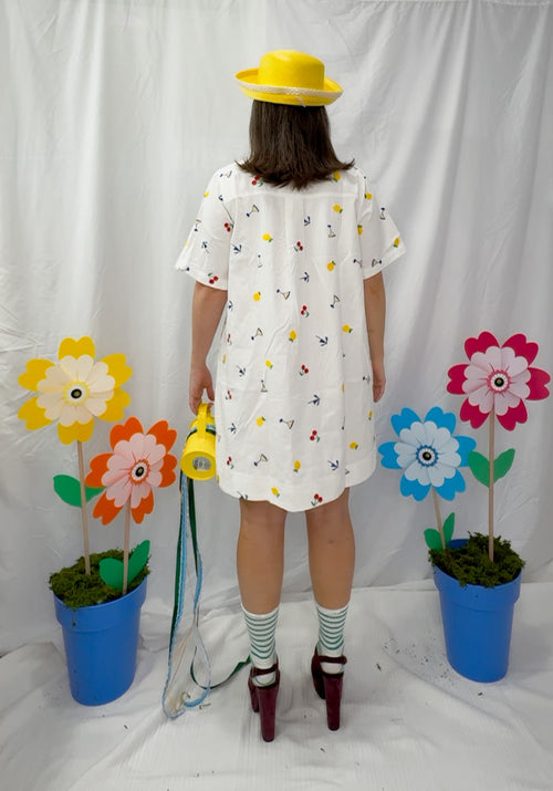 Bernie Embroidered Shirt Dress