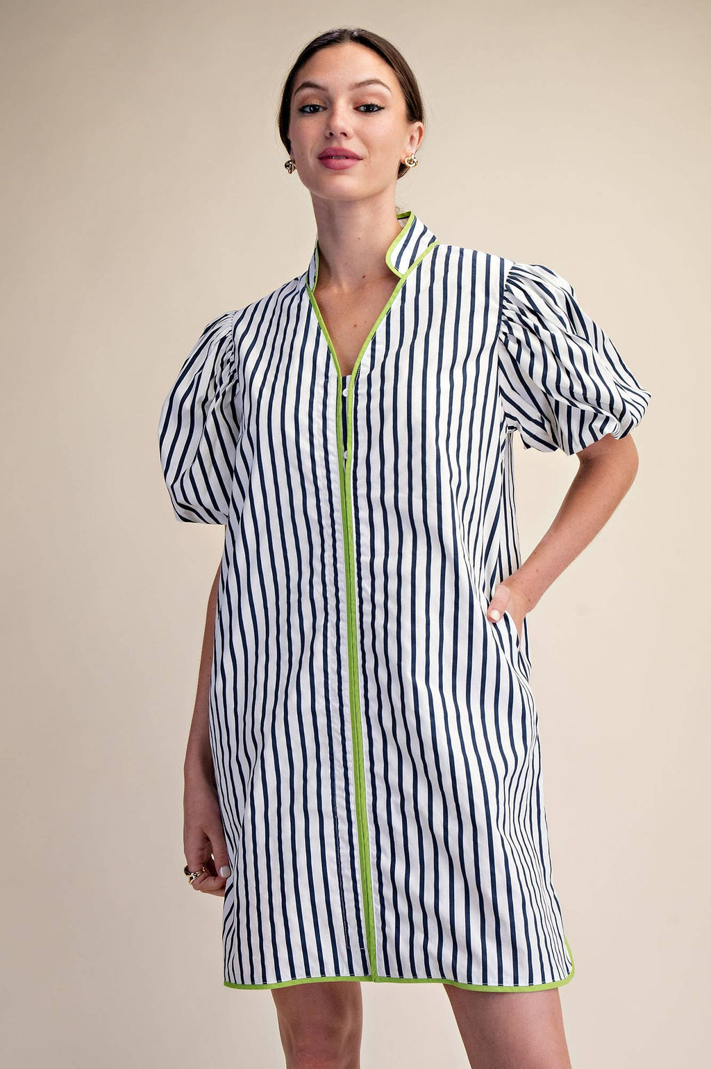 Collier Collard Stripe Dress